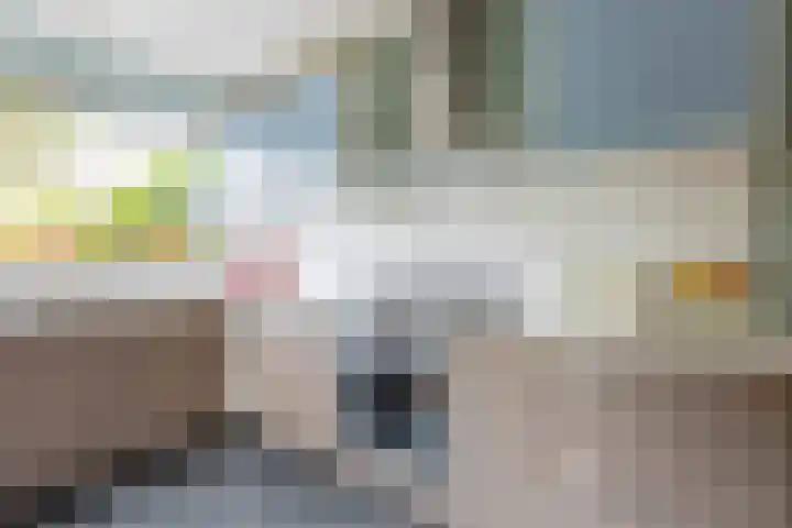Rolderdingspillaan 21 Rolde thumbnail 22