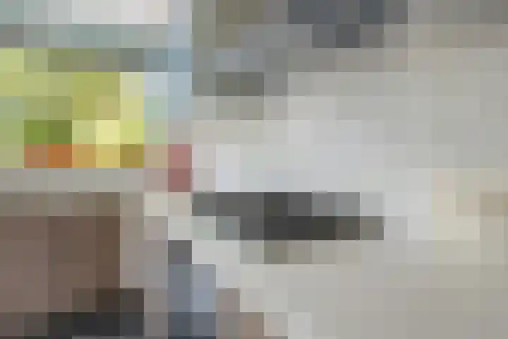 Rolderdingspillaan 21 Rolde thumbnail 23