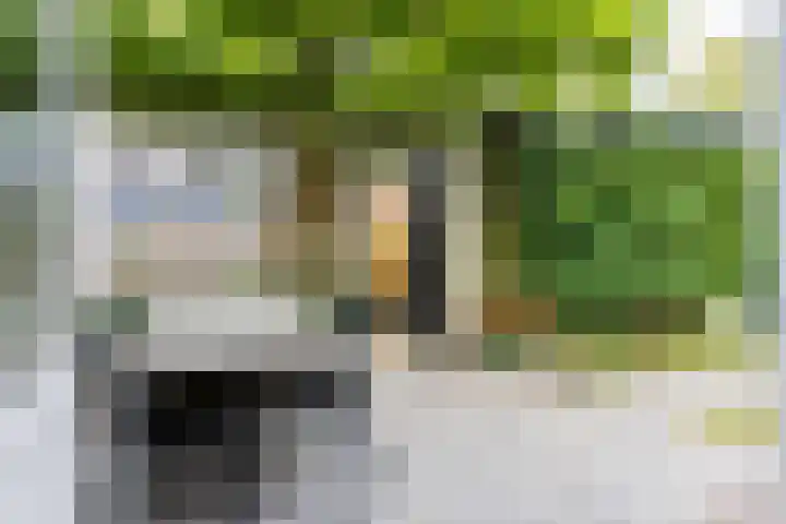 Rolderdingspillaan 21 Rolde thumbnail 26