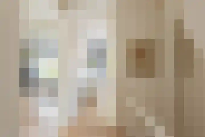 Rolderdingspillaan 21 Rolde thumbnail 27