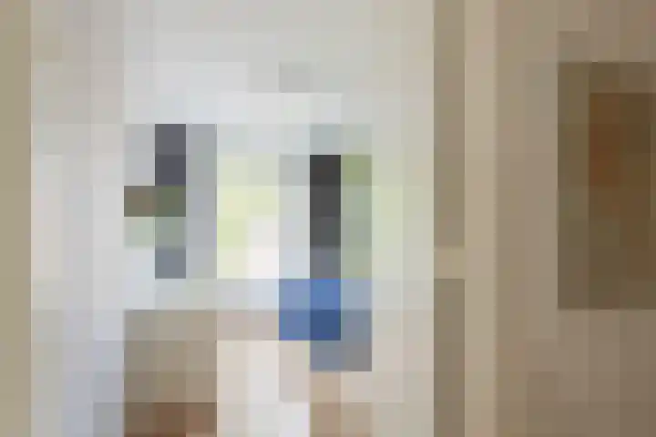Rolderdingspillaan 21 Rolde thumbnail 28