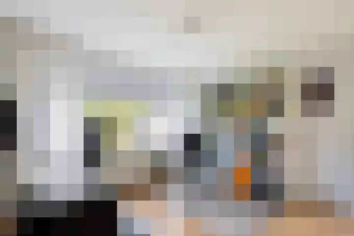 Rolderdingspillaan 21 Rolde thumbnail 33