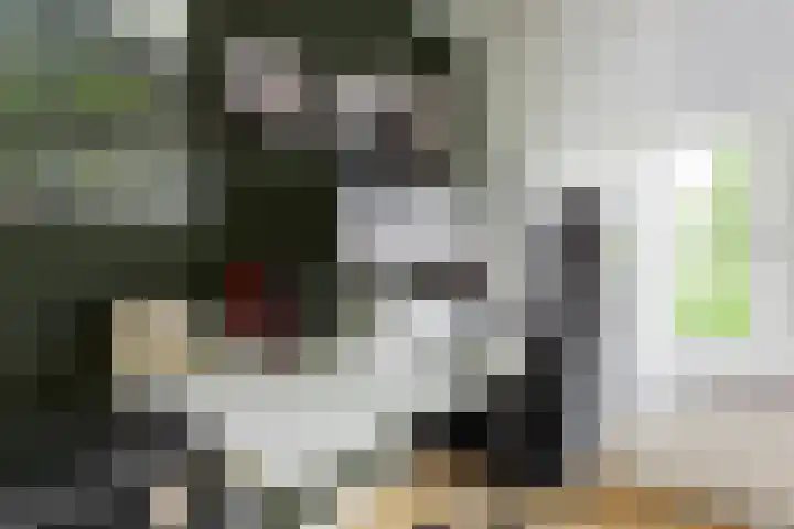 Rolderdingspillaan 21 Rolde thumbnail 34