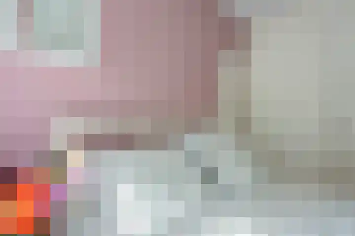 Rolderdingspillaan 21 Rolde thumbnail 38