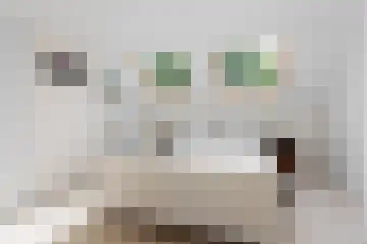 Rolderdingspillaan 21 Rolde thumbnail 4