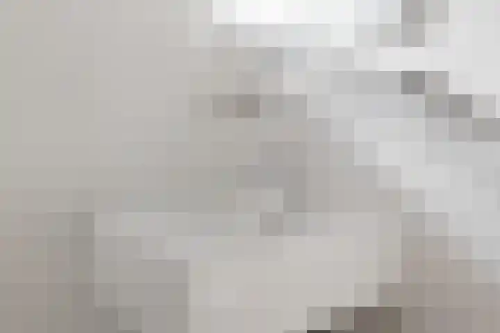 Rolderdingspillaan 21 Rolde thumbnail 42