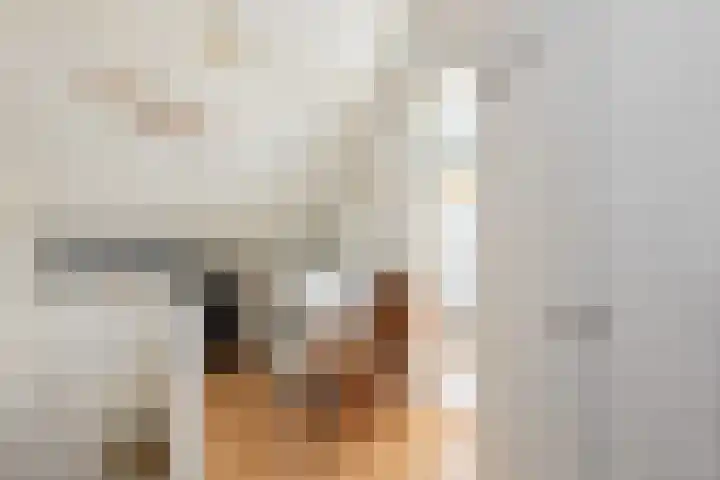 Rolderdingspillaan 21 Rolde thumbnail 47