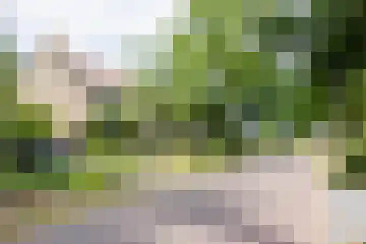 Rolderdingspillaan 21 Rolde thumbnail 5