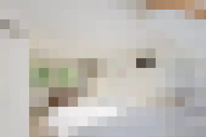 Rolderdingspillaan 21 Rolde thumbnail 50