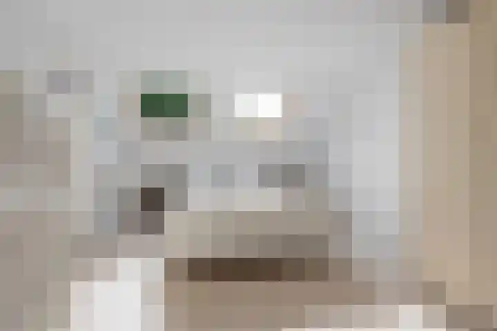 Rolderdingspillaan 21 Rolde thumbnail 51