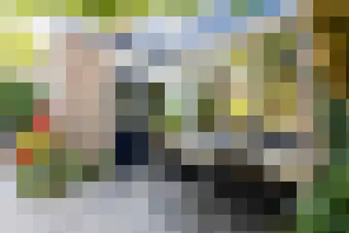 Rolderdingspillaan 21 Rolde thumbnail 52