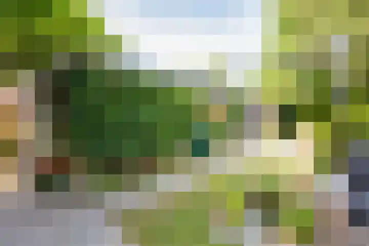 Rolderdingspillaan 21 Rolde thumbnail 53