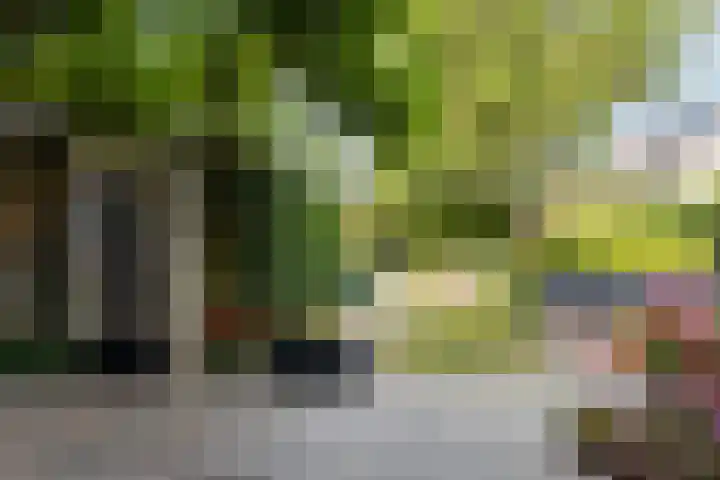 Rolderdingspillaan 21 Rolde thumbnail 57