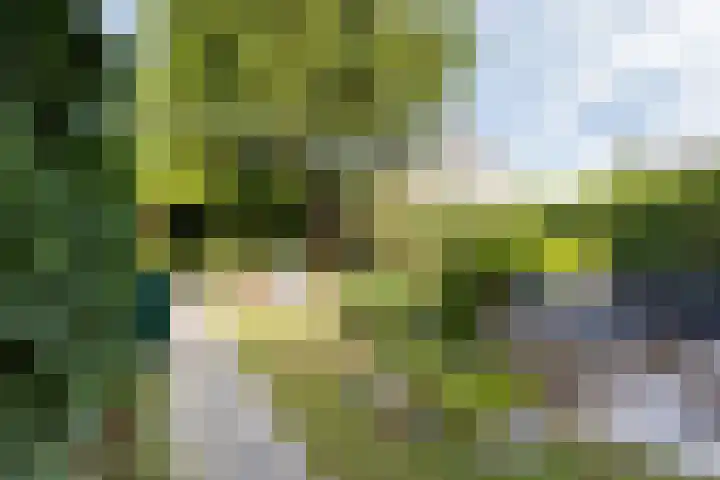 Rolderdingspillaan 21 Rolde thumbnail 58