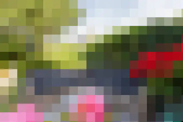 Rolderdingspillaan 21 Rolde thumbnail 59