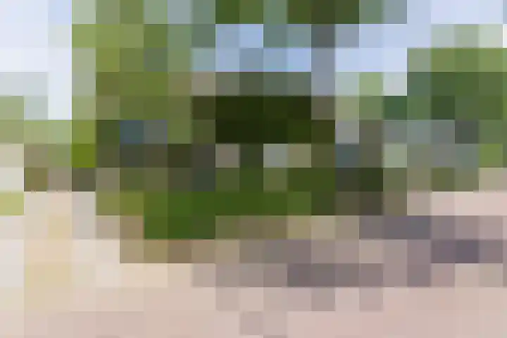 Rolderdingspillaan 21 Rolde thumbnail 6