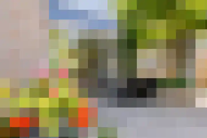 Rolderdingspillaan 21 Rolde thumbnail 60