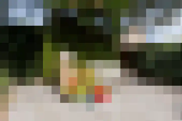 Rolderdingspillaan 21 Rolde thumbnail 61