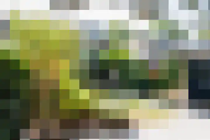 Rolderdingspillaan 21 Rolde thumbnail 62