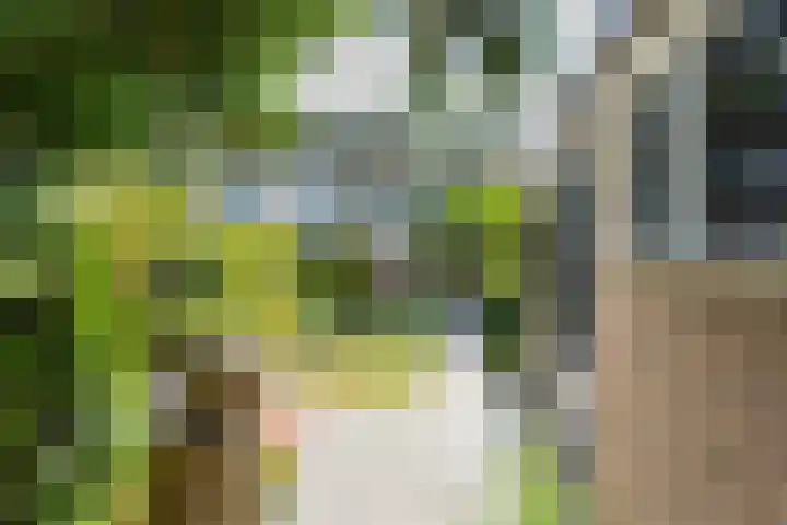 Rolderdingspillaan 21 Rolde thumbnail 63