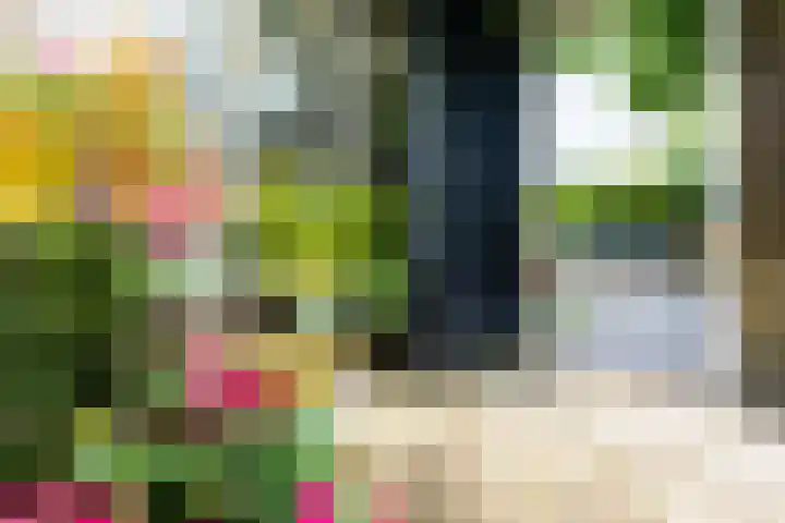 Rolderdingspillaan 21 Rolde thumbnail 64