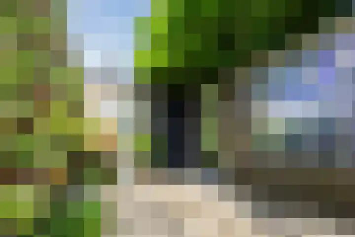 Rolderdingspillaan 21 Rolde thumbnail 65