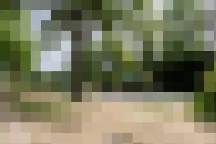 Rolderdingspillaan 21 Rolde thumbnail 66