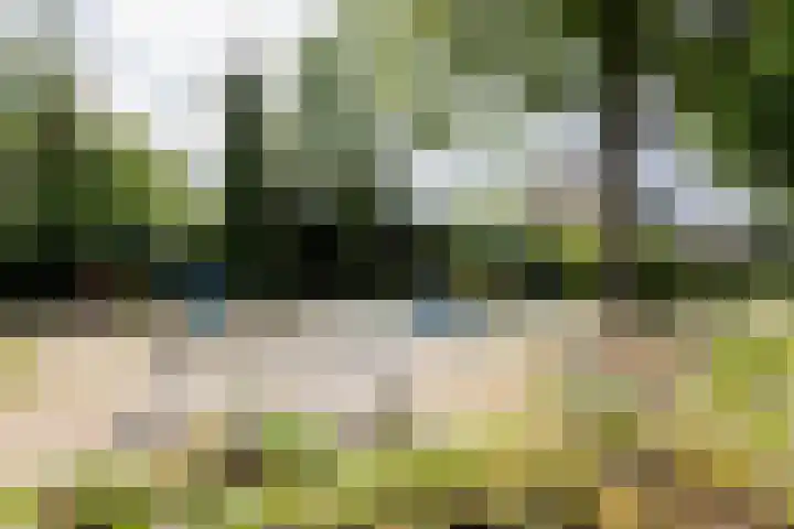 Rolderdingspillaan 21 Rolde thumbnail 67