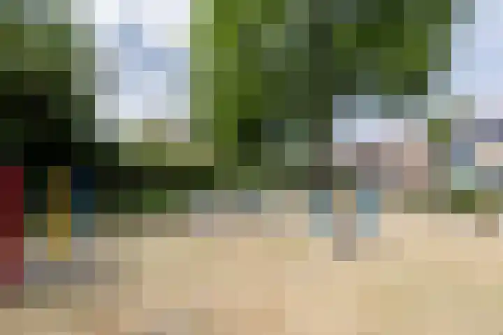 Rolderdingspillaan 21 Rolde thumbnail 68