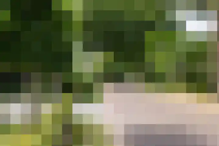 Rolderdingspillaan 21 Rolde thumbnail 69