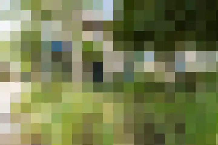 Rolderdingspillaan 21 Rolde thumbnail 7