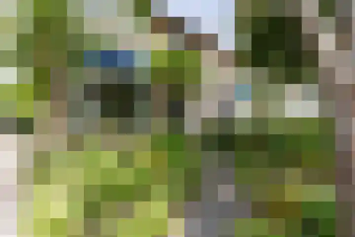 Rolderdingspillaan 21 Rolde thumbnail 8