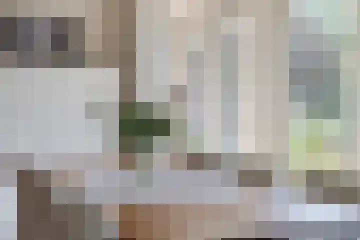 Rolderdingspillaan 28 Rolde thumbnail 15