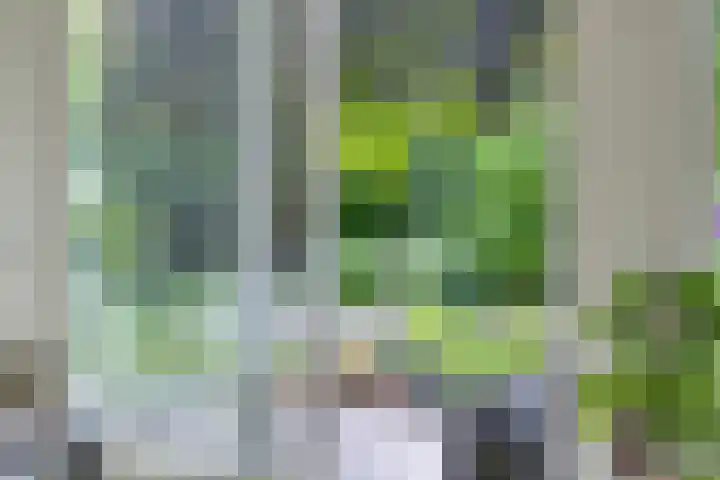 Rolderdingspillaan 28 Rolde thumbnail 17