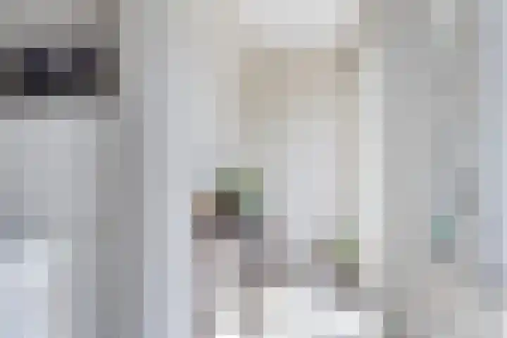 Rolderdingspillaan 28 Rolde thumbnail 21