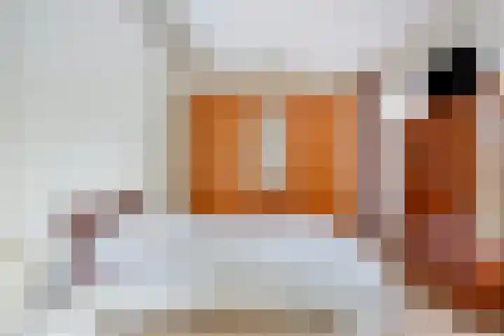 Rolderdingspillaan 28 Rolde thumbnail 22