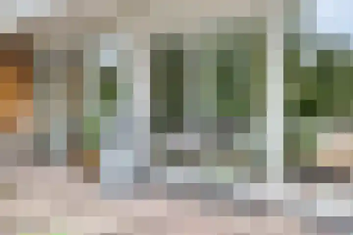 Rolderdingspillaan 28 Rolde thumbnail 33