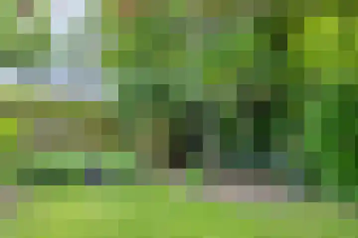 Rolderdingspillaan 28 Rolde thumbnail 35