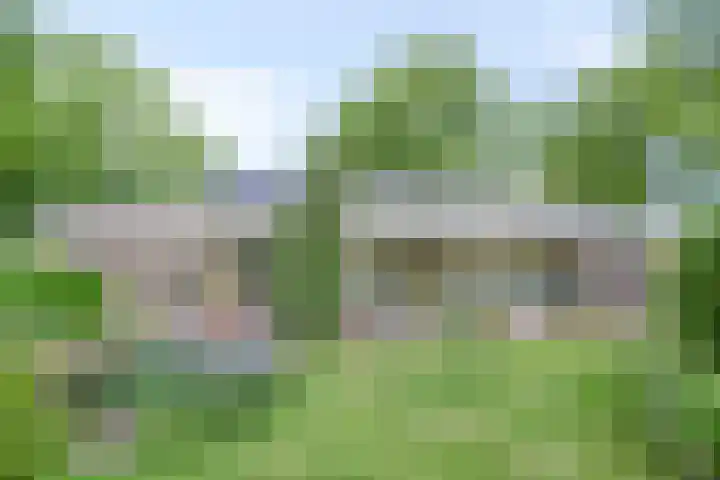 Rolderdingspillaan 28 Rolde thumbnail 37
