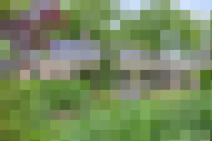 Rolderdingspillaan 28 Rolde thumbnail 38