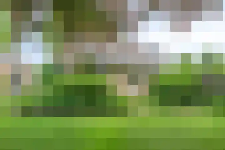 Rolderdingspillaan 28 Rolde thumbnail 39