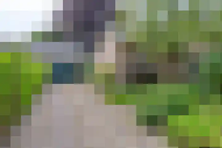 Rolderdingspillaan 28 Rolde thumbnail 40