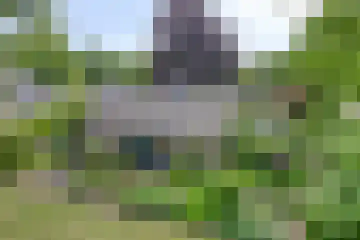 Rolderdingspillaan 28 Rolde thumbnail 41