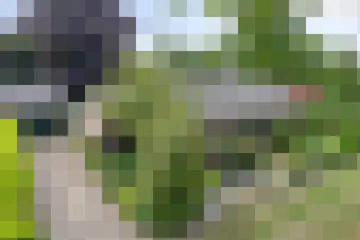 Rolderdingspillaan 28 Rolde thumbnail 42