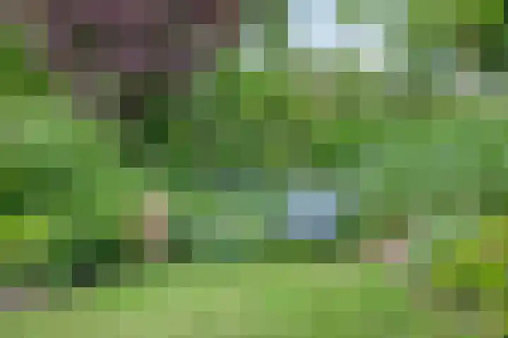 Rolderdingspillaan 28 Rolde thumbnail 43