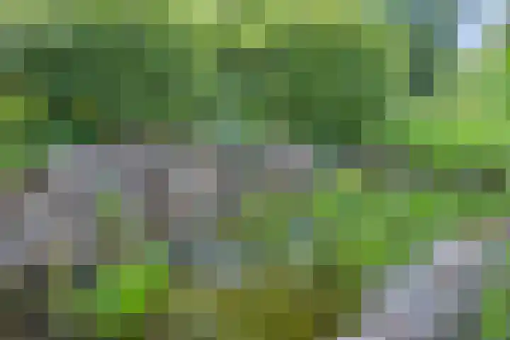 Rolderdingspillaan 28 Rolde thumbnail 44