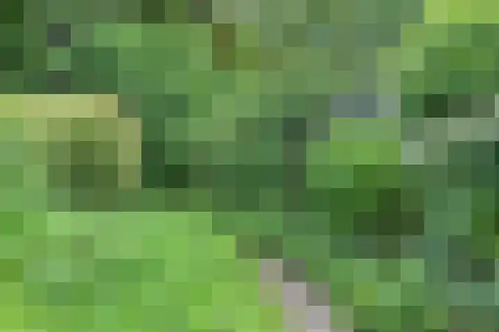 Rolderdingspillaan 28 Rolde thumbnail 45