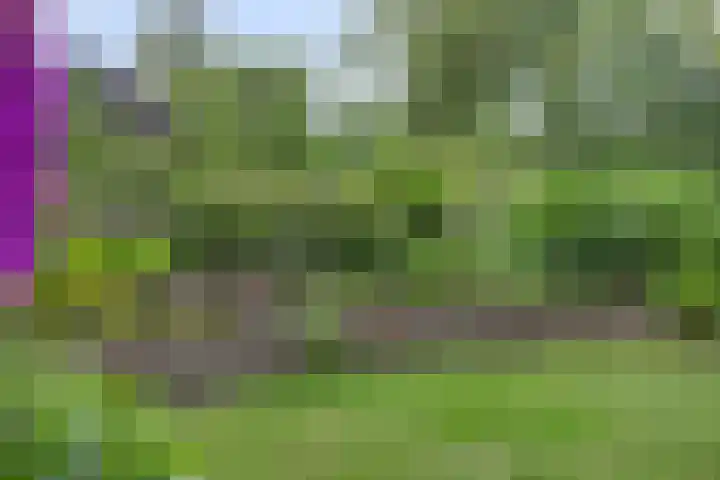 Rolderdingspillaan 28 Rolde thumbnail 46