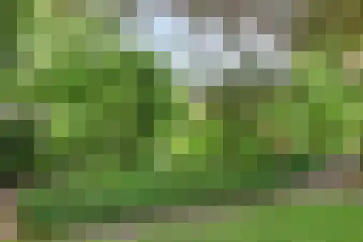 Rolderdingspillaan 28 Rolde thumbnail 48