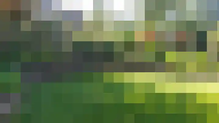 Rolderdingspillaan 28 Rolde thumbnail 49